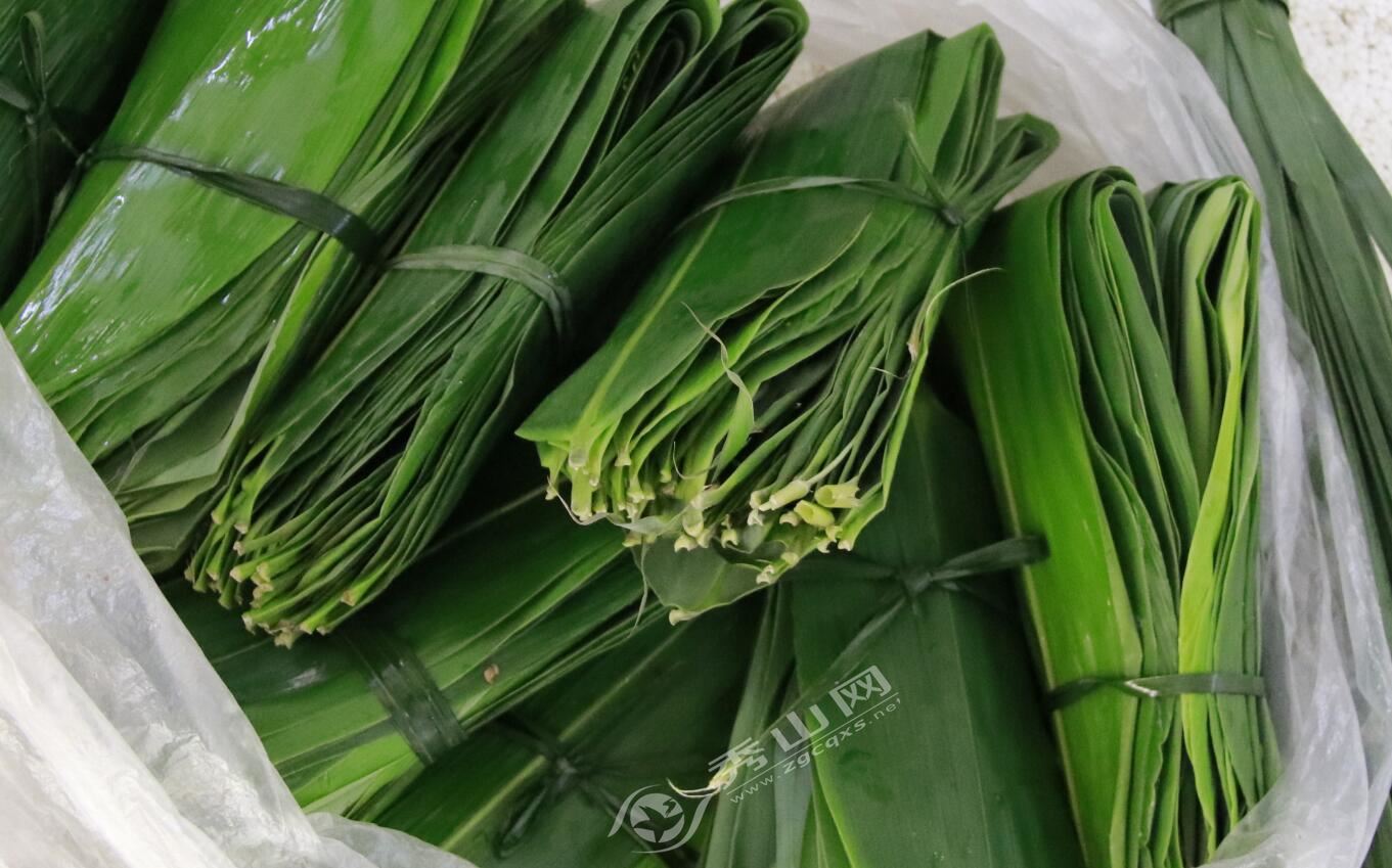 粽葉已上市 你家的粽粑香了沒？